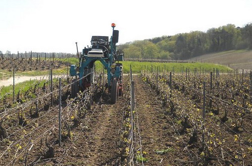 Champagne - labour léger de printemps - charrue mécanique traditionnelle